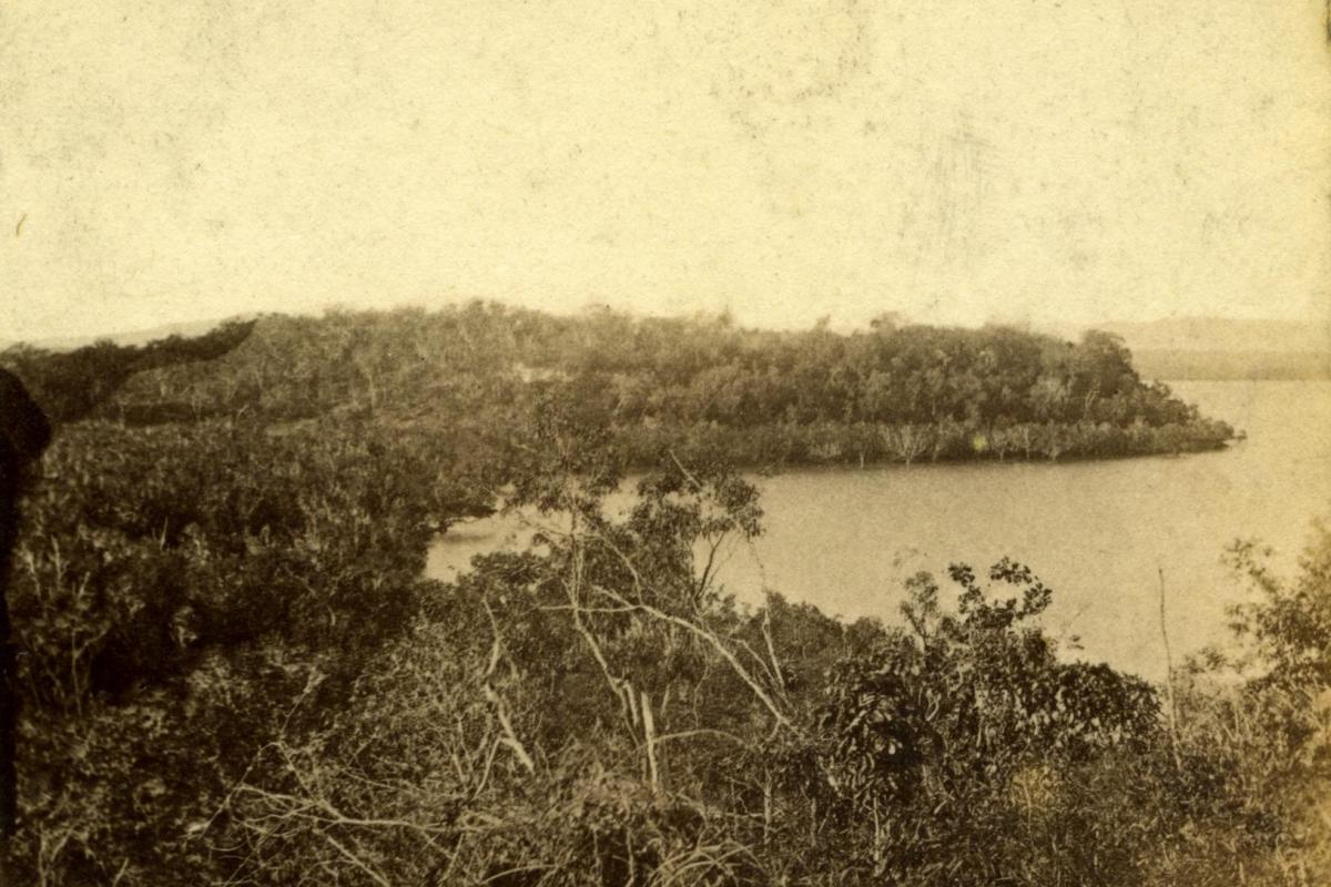 Frances Bay 1869