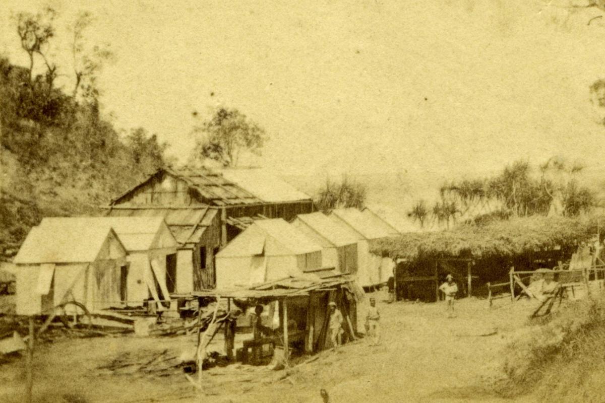 Main Camp and stables, 1869
