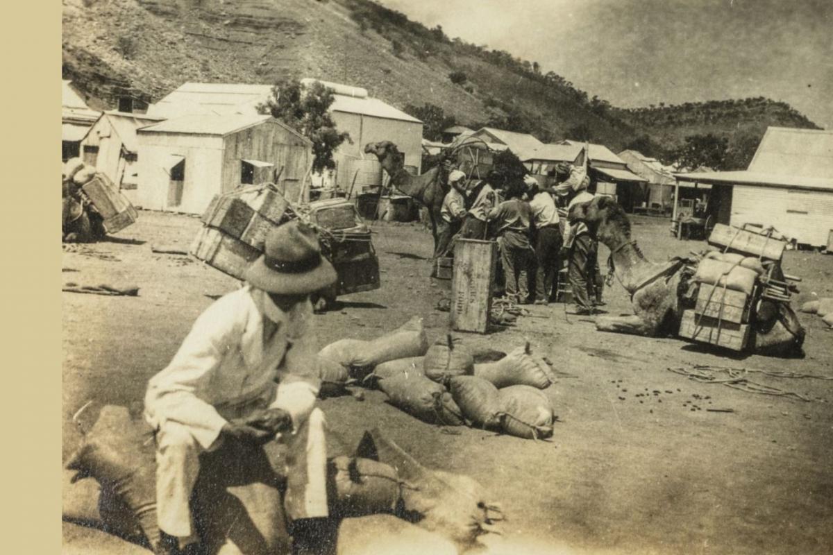 Afghan cameleers and other men standing with freight and loaded camels, seated. Tin buildings and range in immediate background. 