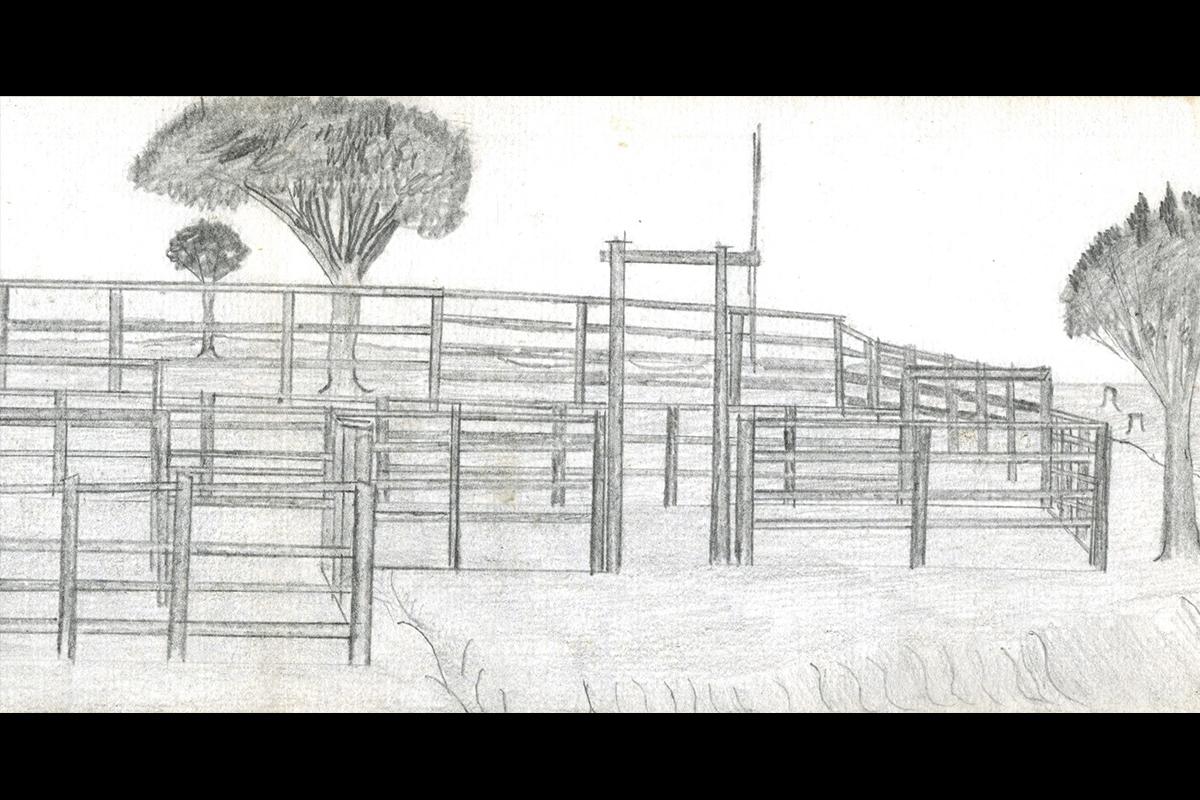 Detailed drawing of stockyards with surrounding trees.