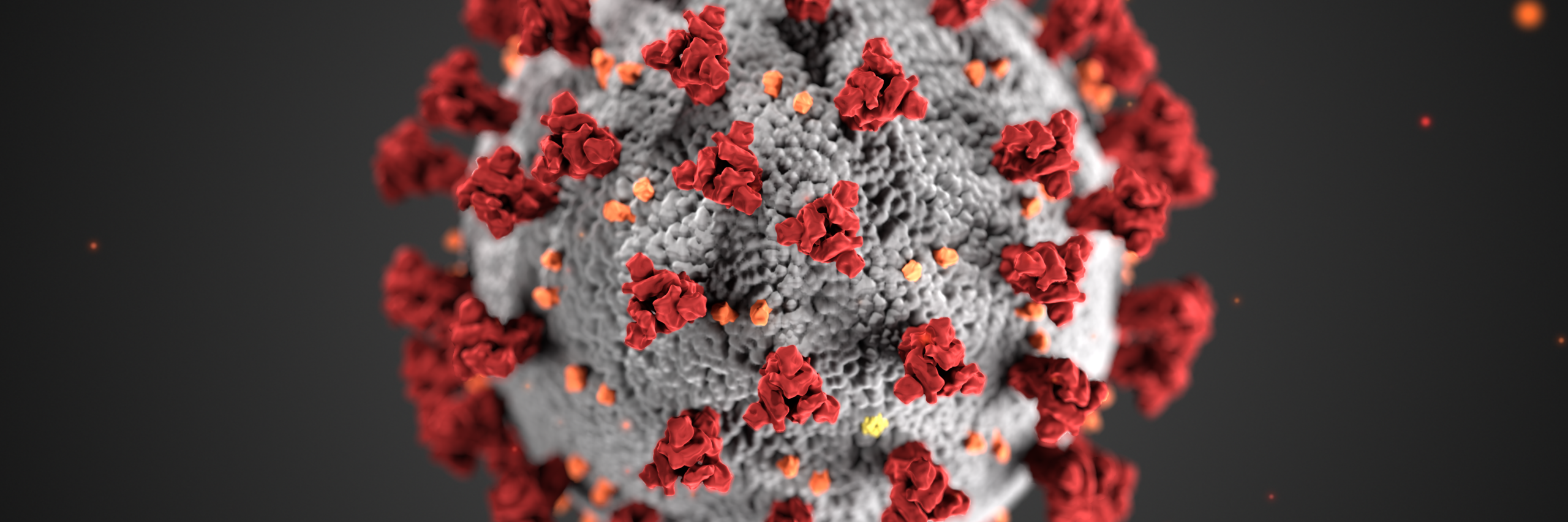 highly magnified image of a virus cell - grey ball with red coral like shapes coming out from it