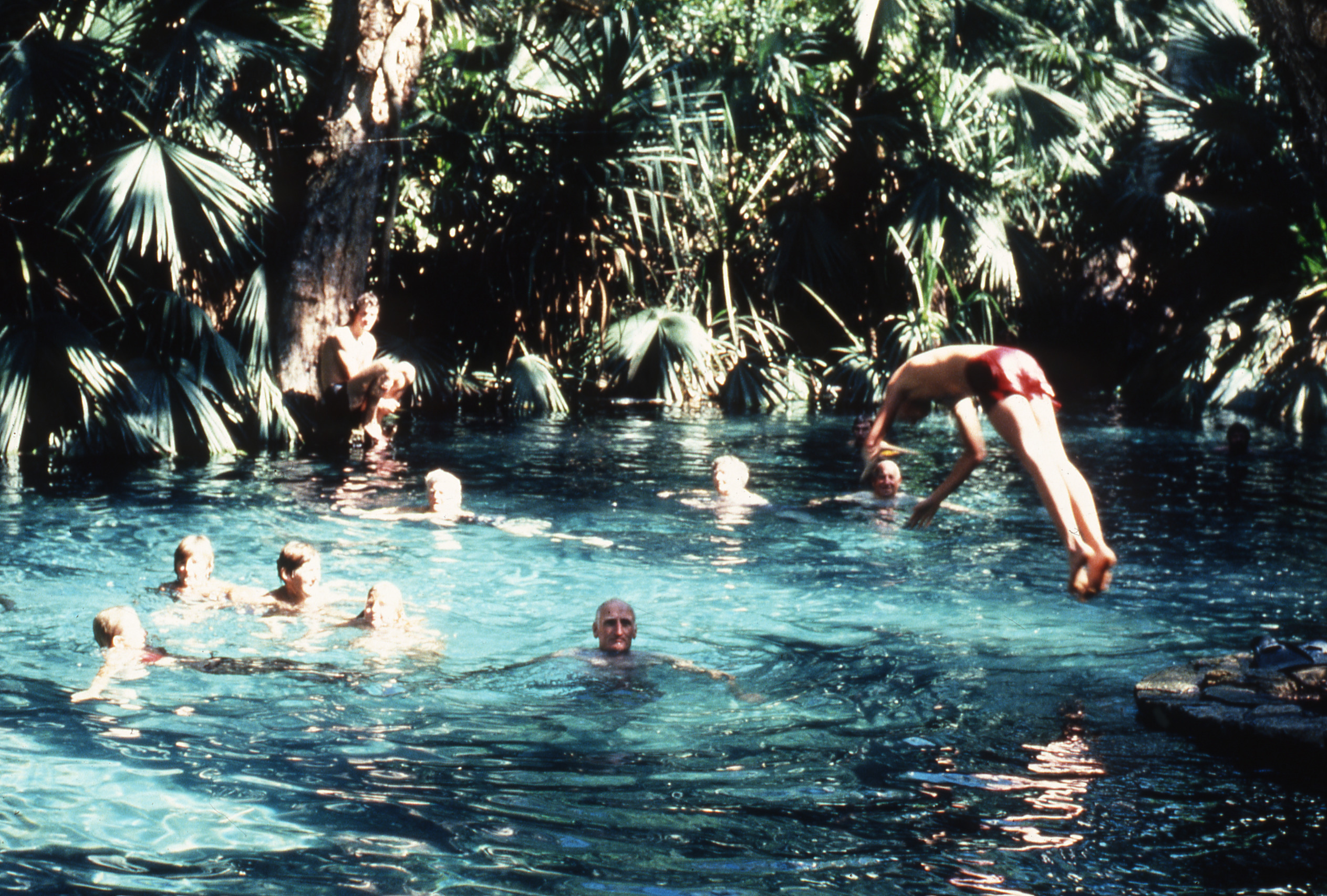 People swimming and diving into in a clear blue water hole surrounded by palms and tropical foliage 