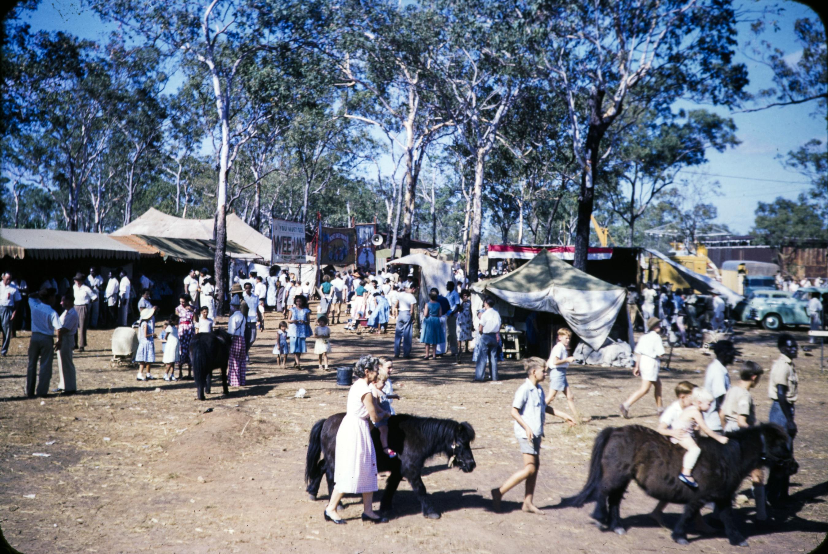 Shetland Ponies at the Darwin Show