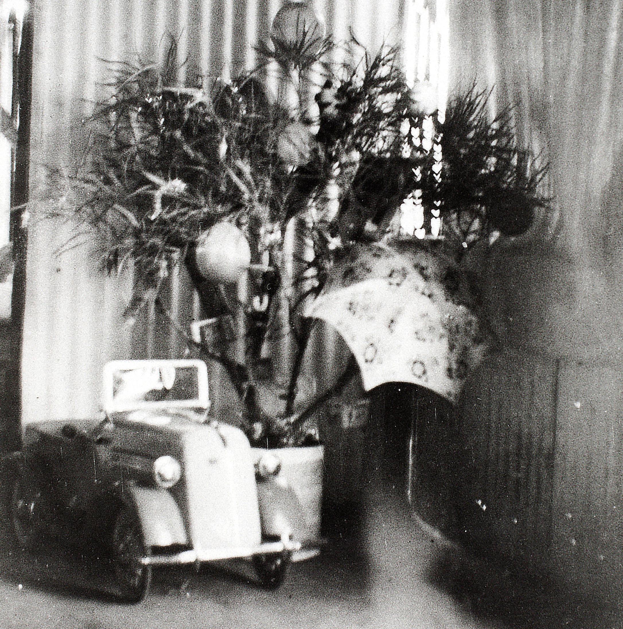 Black and white photograph of a palm tree decorated with balloons and umbrella sitting beside a toy convertible car.