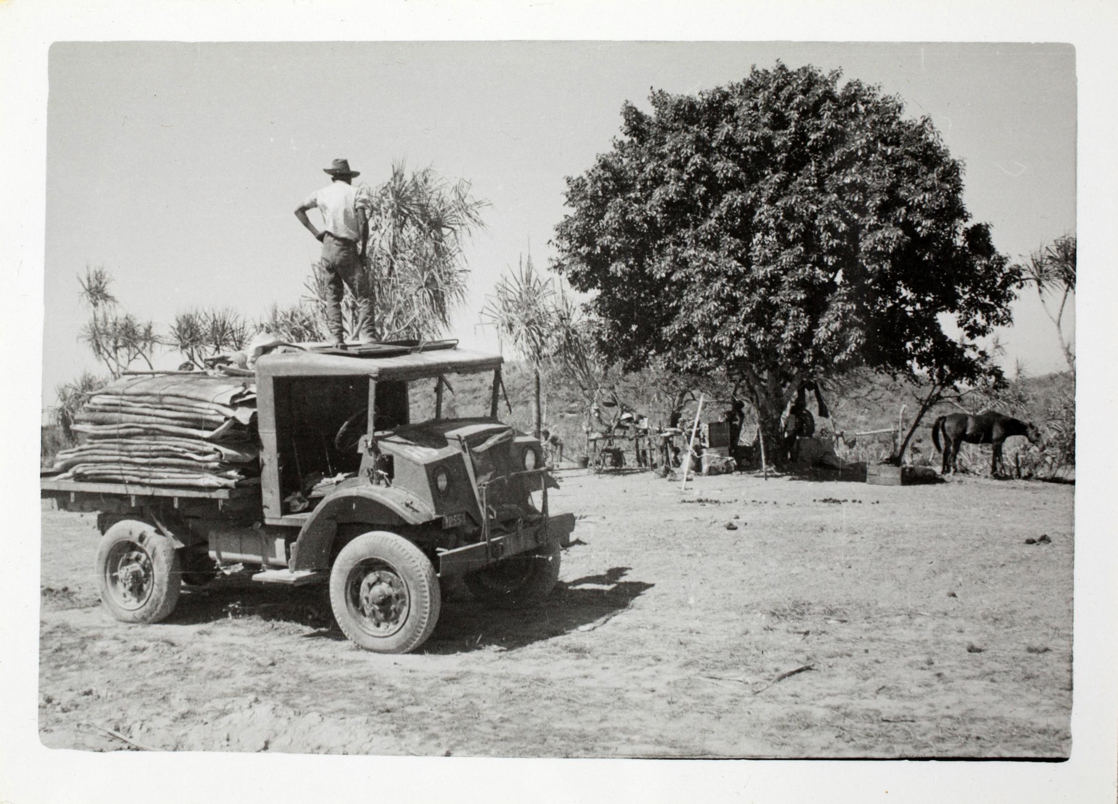 Truck loaded with buffalo hides sitting on the road with trees and horse in the background.