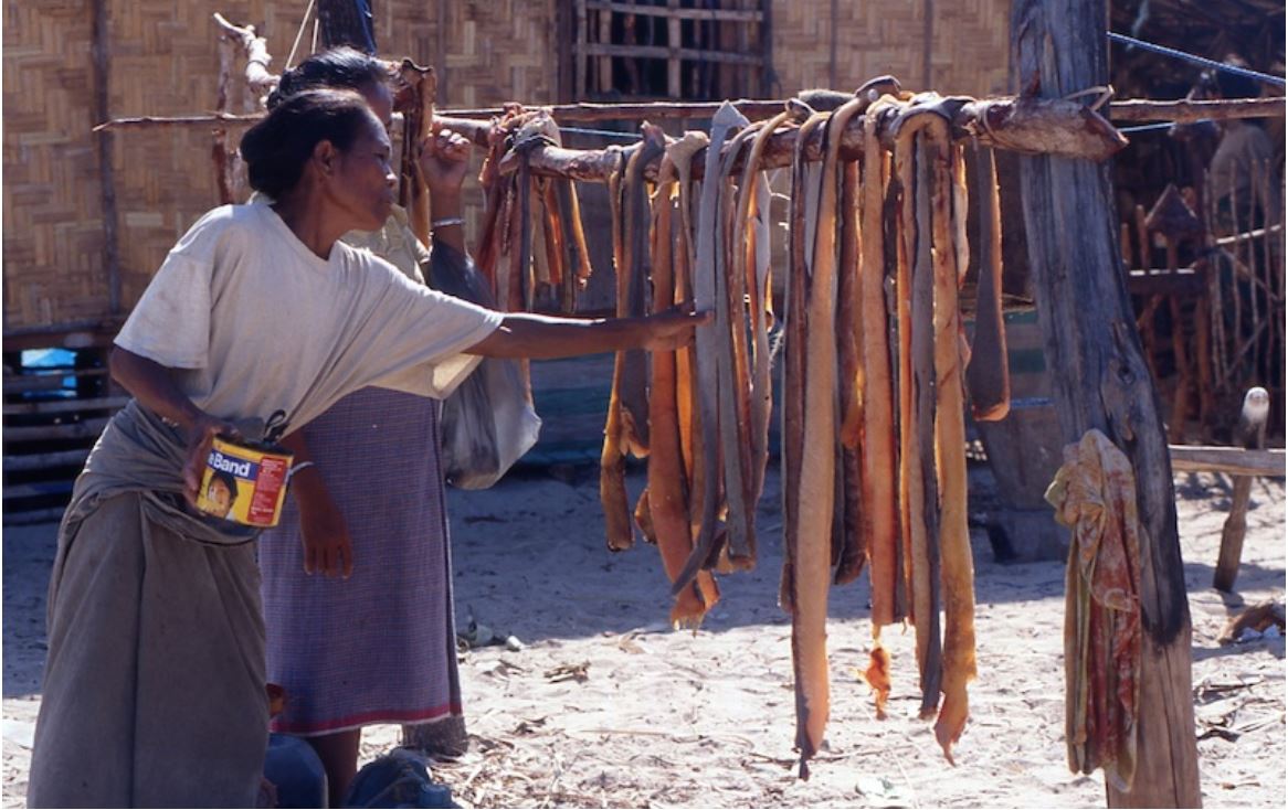 Image of two women (one slightly obscured by other women) hanging up dried animal - possibly sea cucumbers/trepang