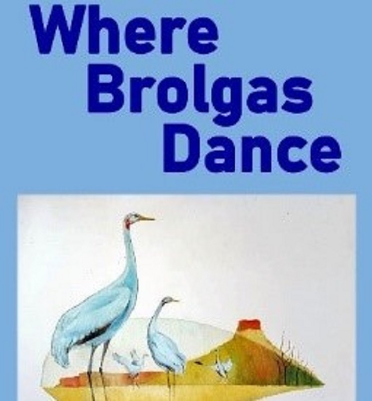 Where Brolgas Dance front cover - watercolour brolgas on the cover