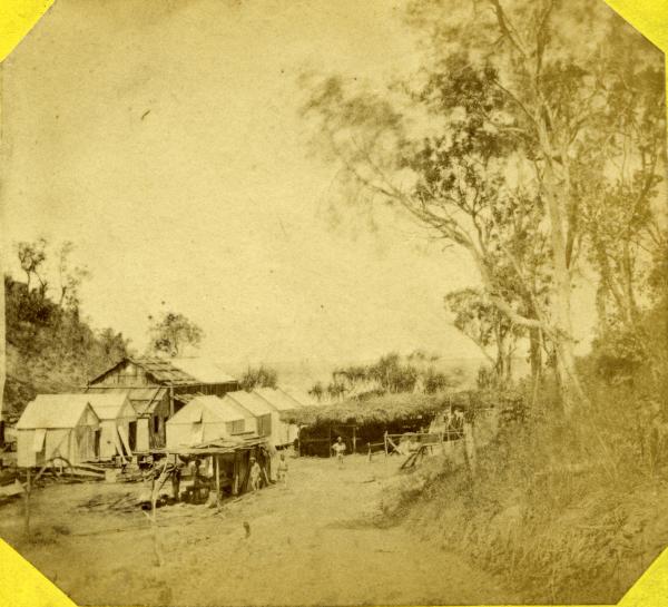 Main Camp and stables roofed with bark, 1869