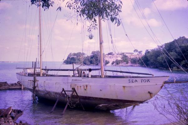 A two-masted yacht in a state of disrepair is beached at Doctors Gully near Darwin.