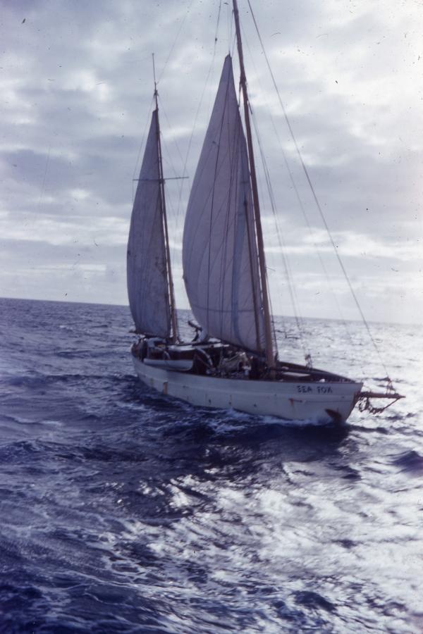 A disabled yacht with limp sails floats on a choppy sea.