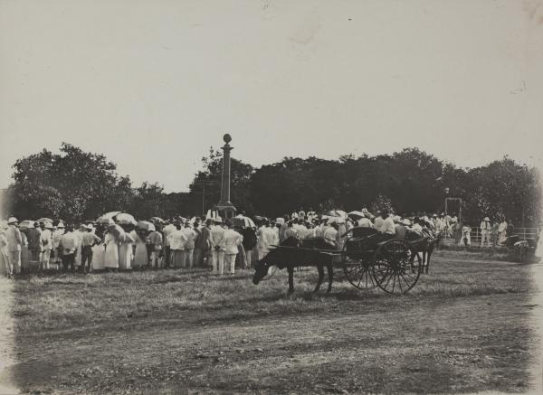 A large crowd of men and women surround the Cenotaph at centre. A horse and buggy stand in the foreground.