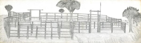 Detailed drawing of stockyards with surrounding trees.