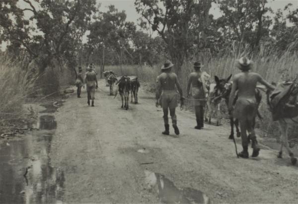 Photograph of soldiers and donkeys walking along a dirt road.