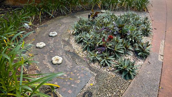 Photo of a mosaic pathway in Damoe-Ra Park. The pathway is arched with stone frangipani flowers sitting a top the mosaic. The path has the names of women who have been honoured on it in mosaic. 