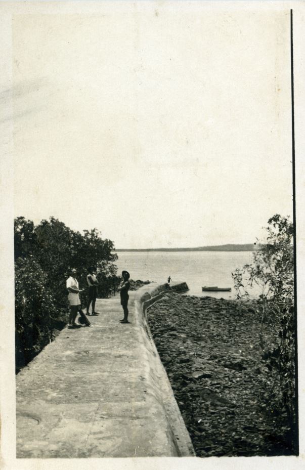 Three men on raised concrete walkway running through mangroves with harbour in background.