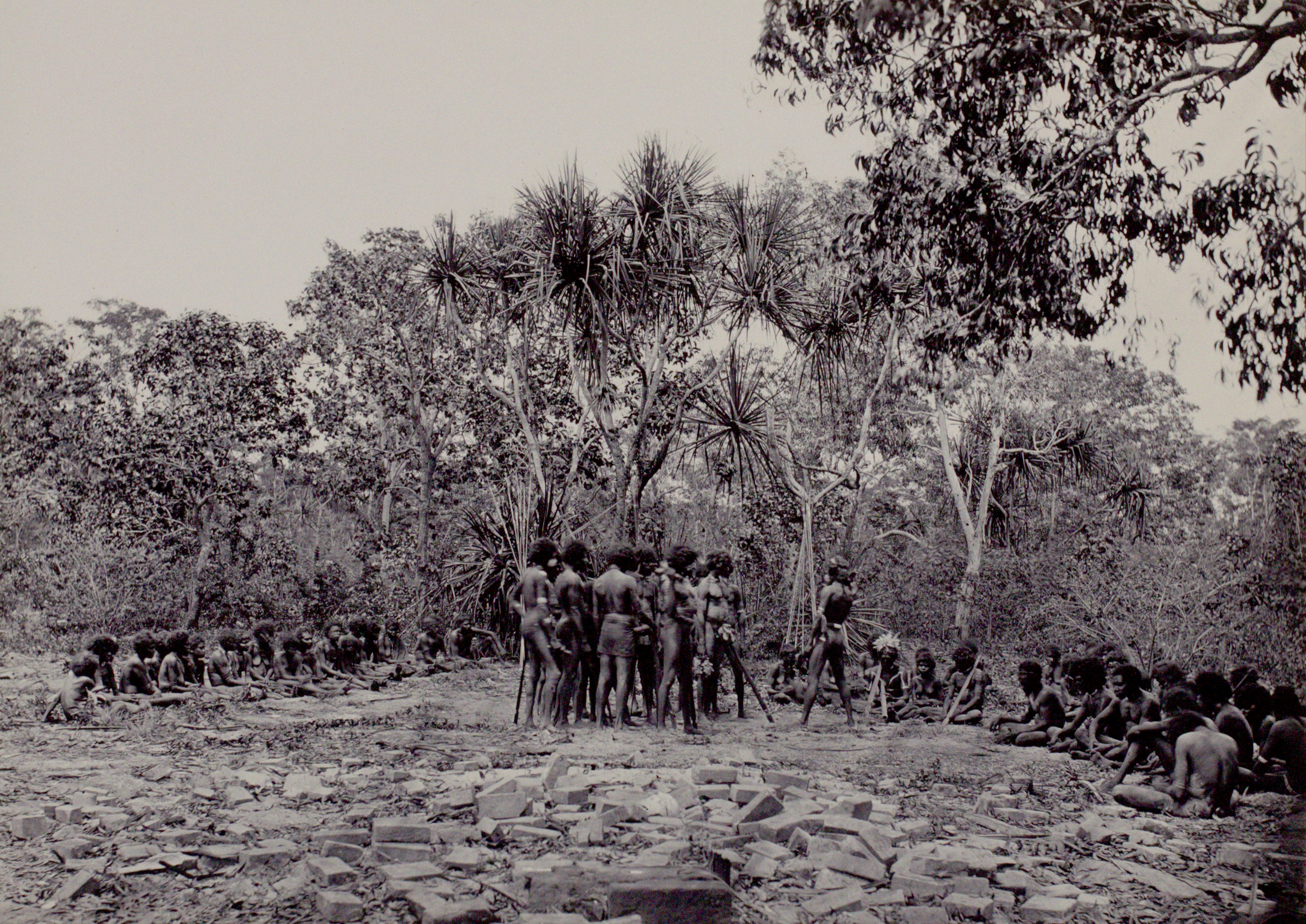 A group of Aboriginal men prepare for dance, surrounded by a seated audience of Aboriginal men, women and children. In the background is a stand of pandanus and in the foreground are piles of bricks from the old Port Essington settlement.